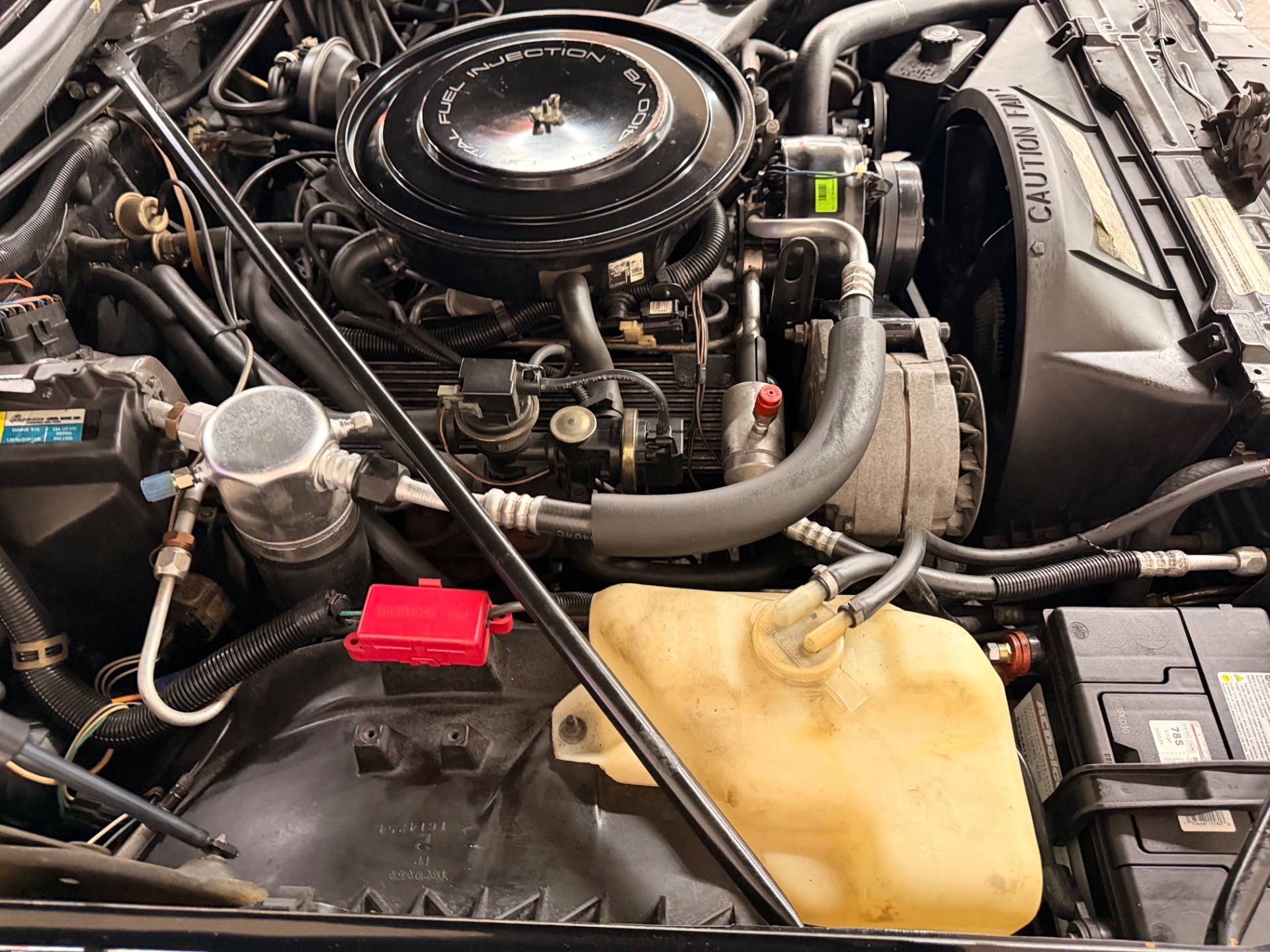 Used 1985 CADILLAC ELDORADO BIARRITZ CONVERTIBLE-SEE VIDEO | Mundelein, IL