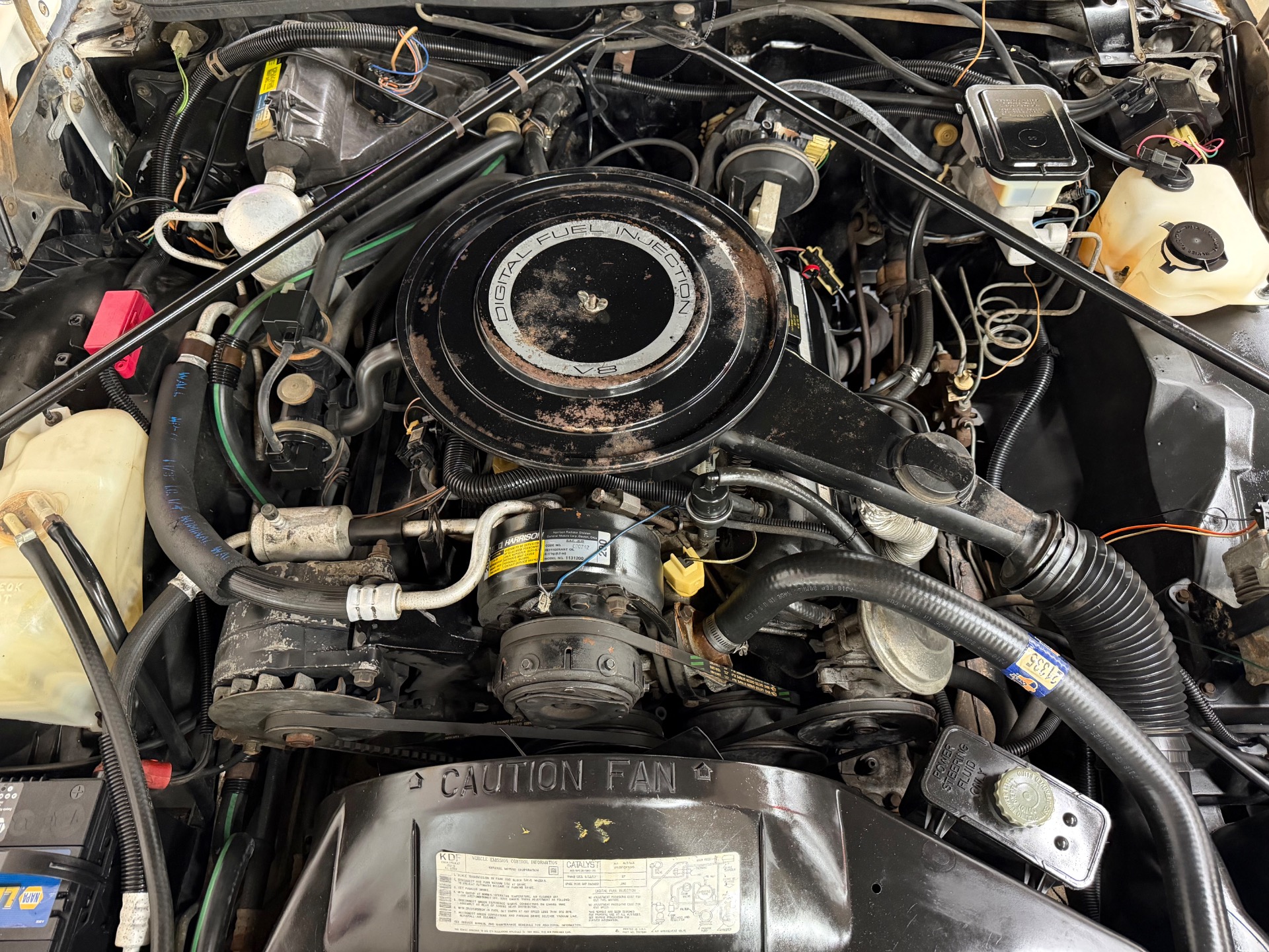 Used 1984 Cadillac Eldorado BIARRITZ - STAINLESS - MOONROOF - 1 OWNER-SEE VIDEO | Mundelein, IL