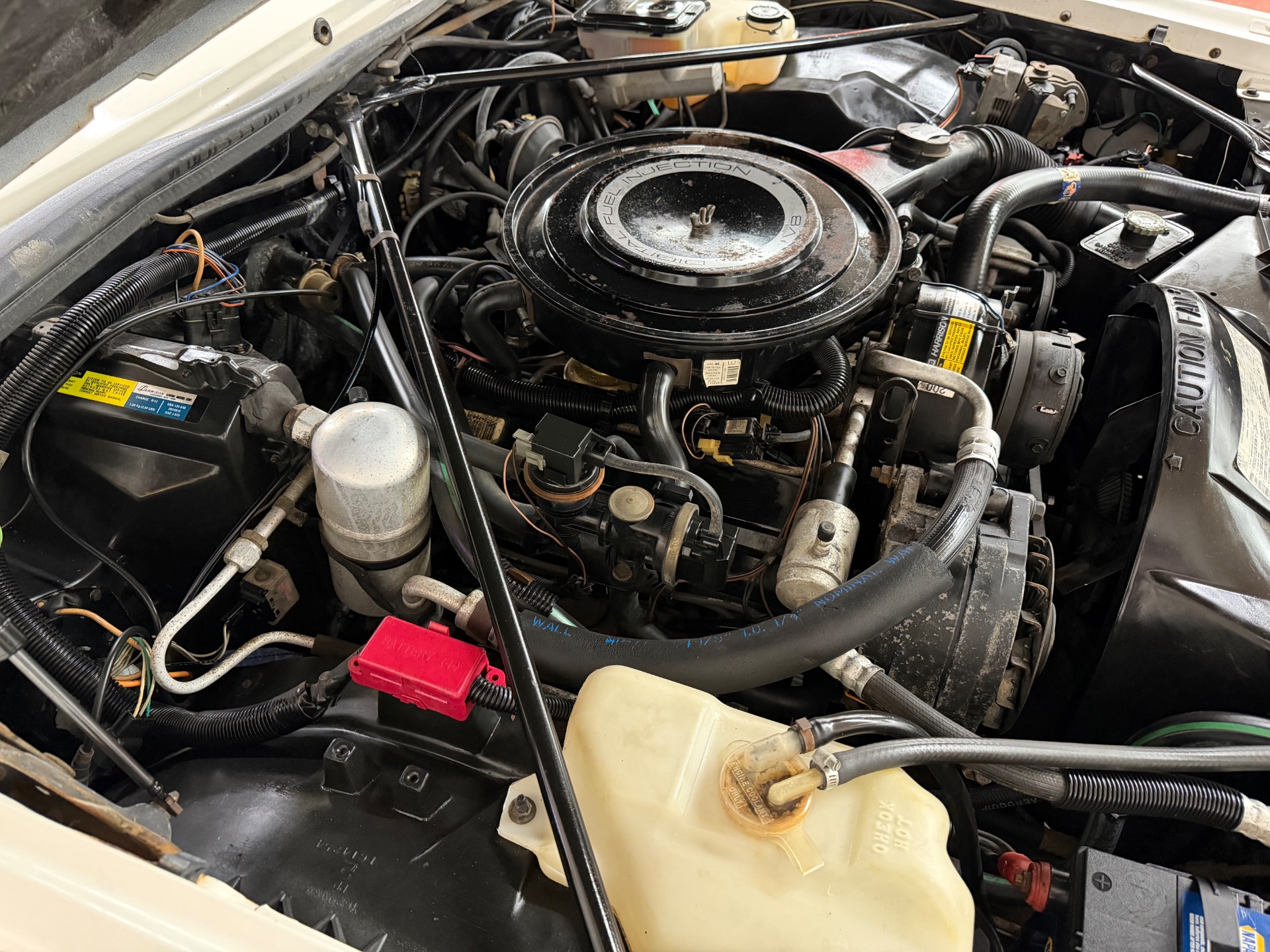 Used 1984 Cadillac Eldorado BIARRITZ - STAINLESS - MOONROOF - 1 OWNER-SEE VIDEO | Mundelein, IL