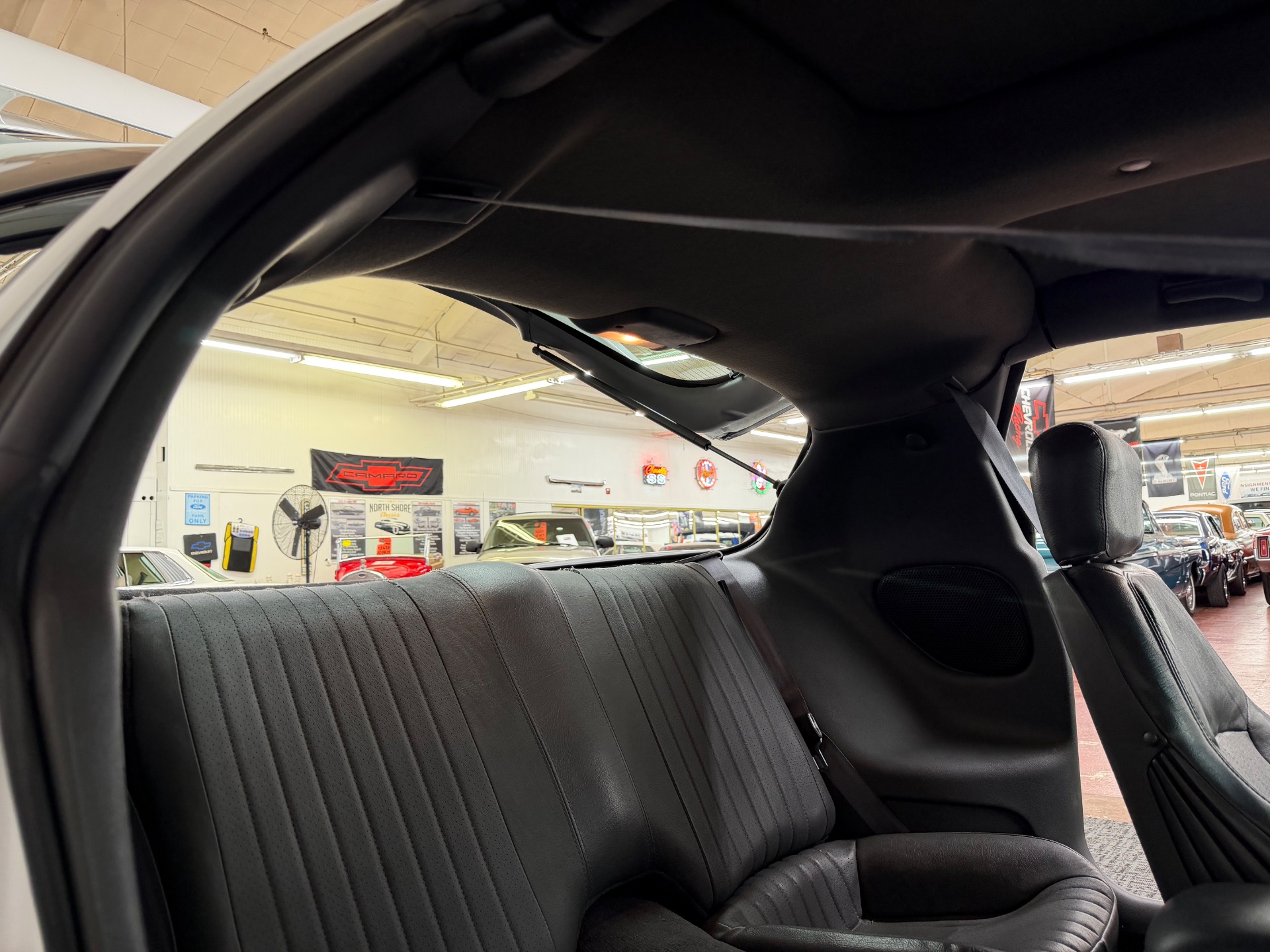 Used 1998 Pontiac Firebird Trans Am T-Tops Low Miles | Mundelein, IL