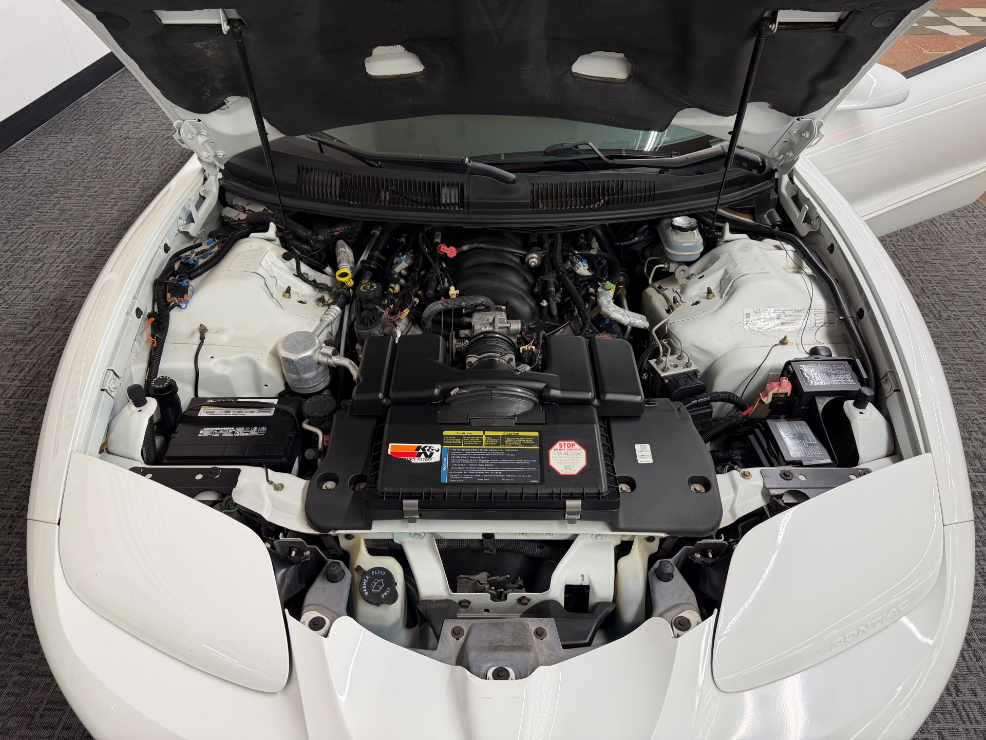 Used 1998 Pontiac Firebird Trans Am T-Tops Low Miles | Mundelein, IL