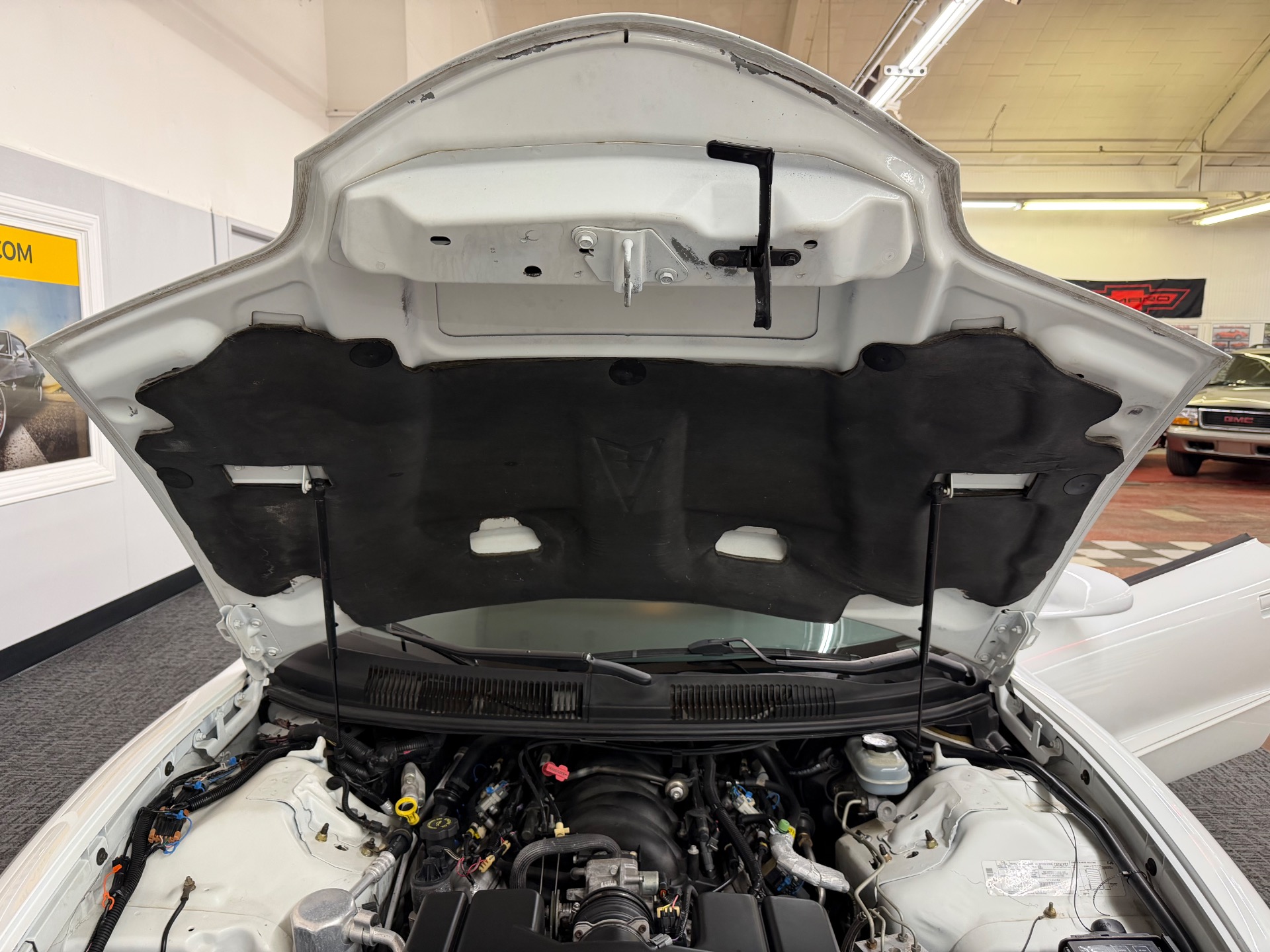 Used 1998 Pontiac Firebird Trans Am T-Tops Low Miles | Mundelein, IL