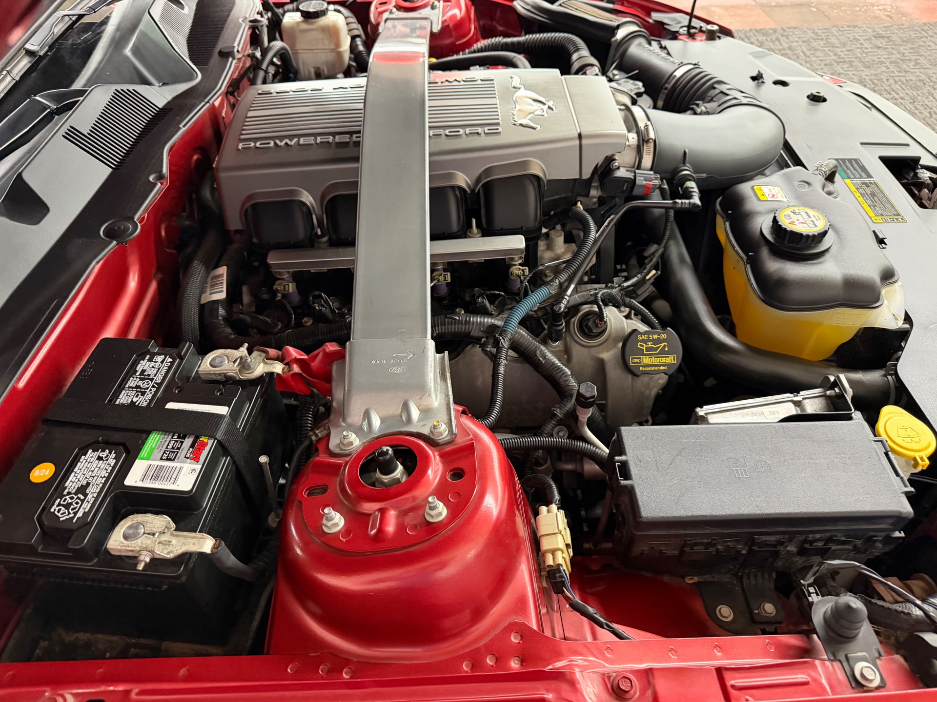 Used 2010 Ford Mustang GT-SUMMER FUN GREAT DRIVING CAR-LOW MILES-SEE VIDEO | Mundelein, IL