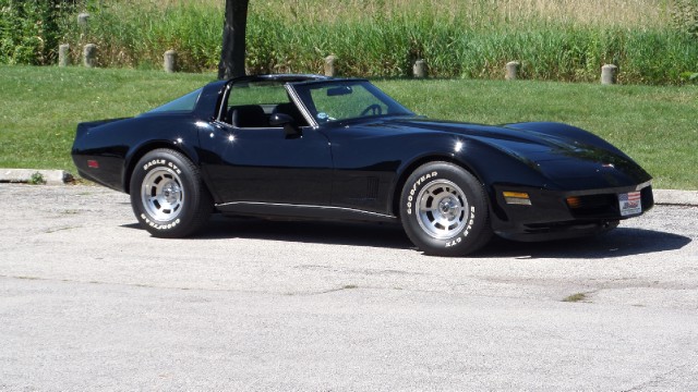 Used 1980 Chevrolet Corvette Only 21,860 Miles-Pristine Condition-SEE VIDEO | Mundelein, IL