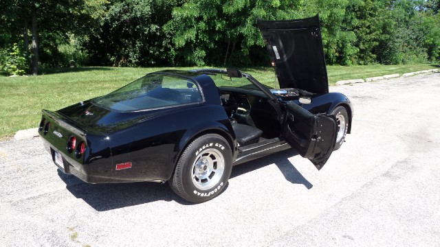 Used 1980 Chevrolet Corvette Only 21,860 Miles-Pristine Condition-SEE VIDEO | Mundelein, IL