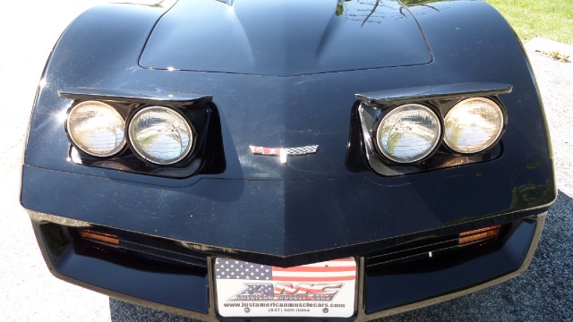 Used 1980 Chevrolet Corvette Only 21,860 Miles-Pristine Condition-SEE VIDEO | Mundelein, IL
