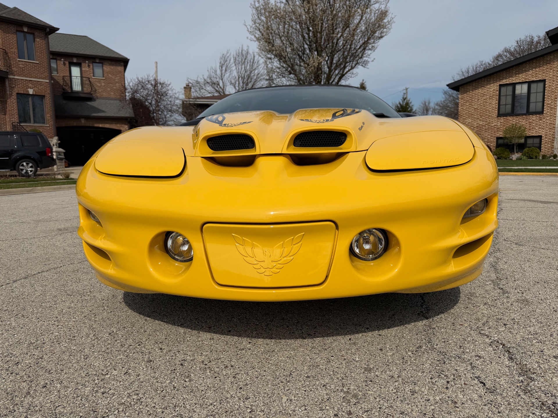 Used 2002 Pontiac Firebird Collector Edition Only-4k Miles-Convertible-SEE VIDEO | Mundelein, IL