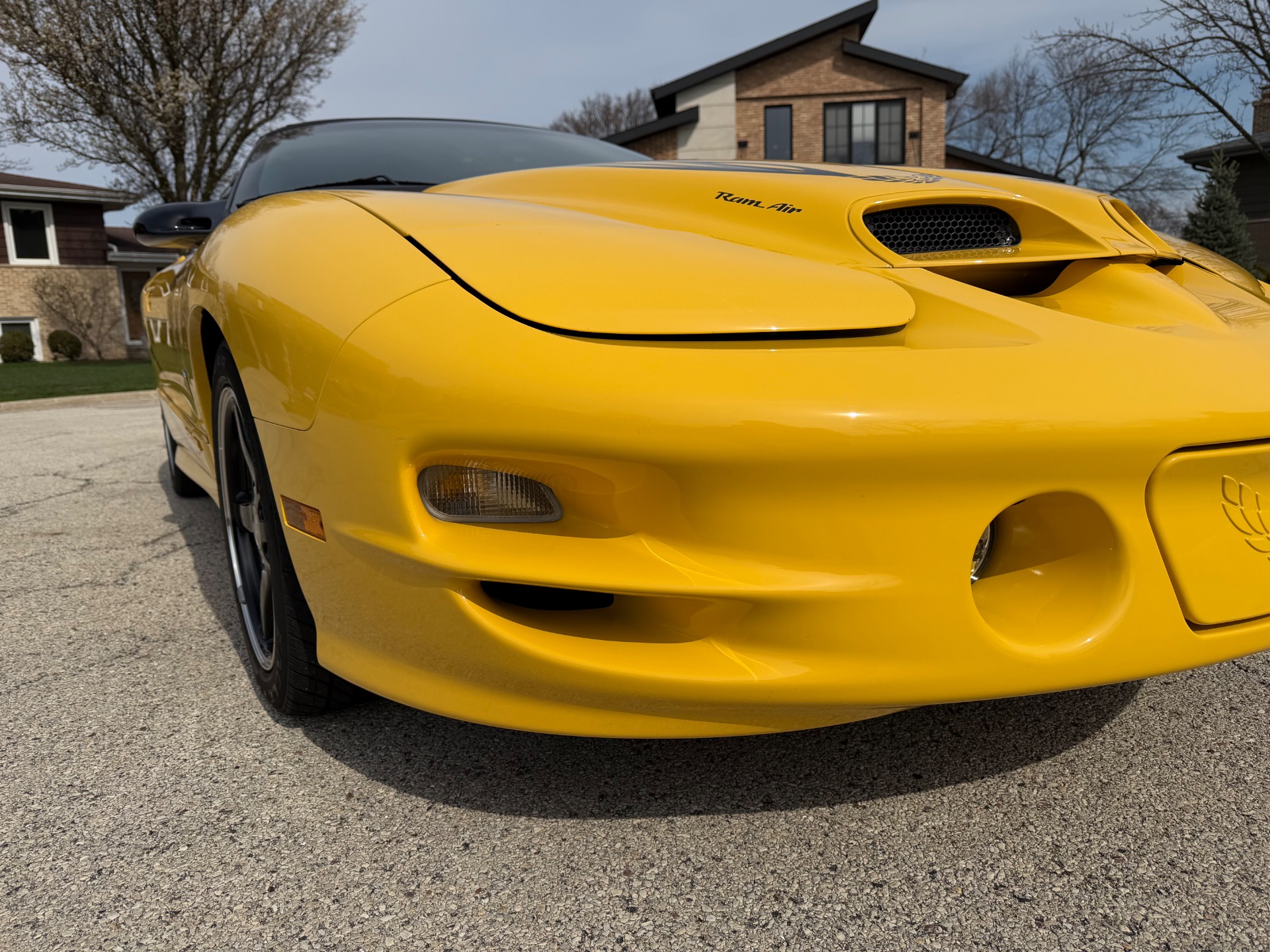 Used 2002 Pontiac Firebird Collector Edition Only-4k Miles-Convertible-SEE VIDEO | Mundelein, IL