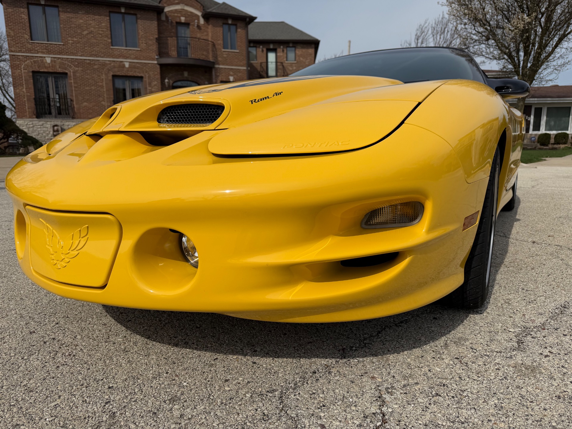 Used 2002 Pontiac Firebird Collector Edition Only-4k Miles-Convertible-SEE VIDEO | Mundelein, IL