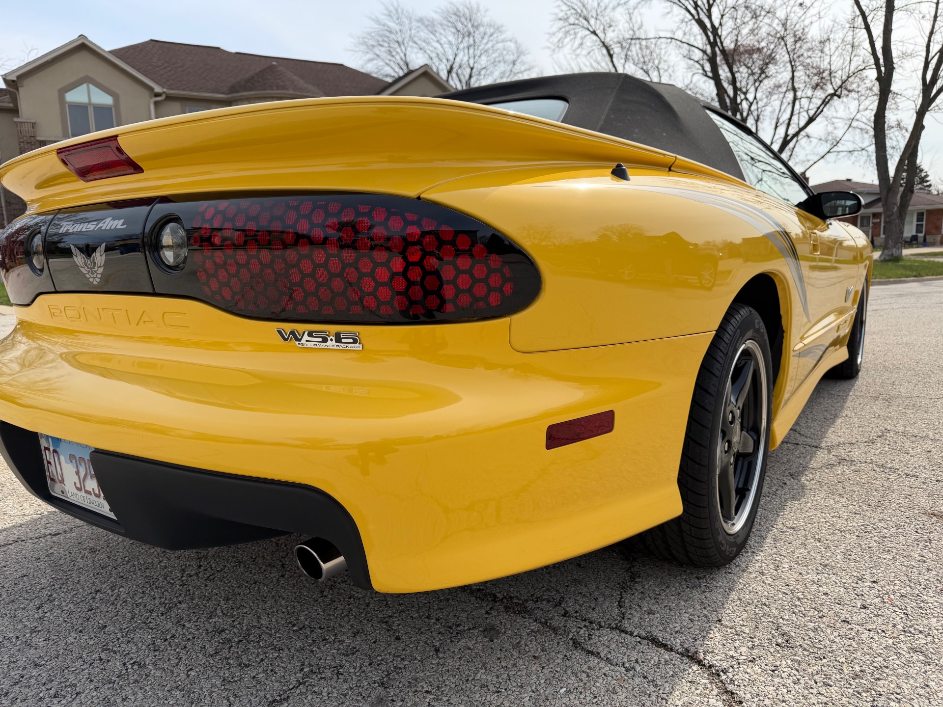 Used 2002 Pontiac Firebird Collector Edition Only-4k Miles-Convertible-SEE VIDEO | Mundelein, IL