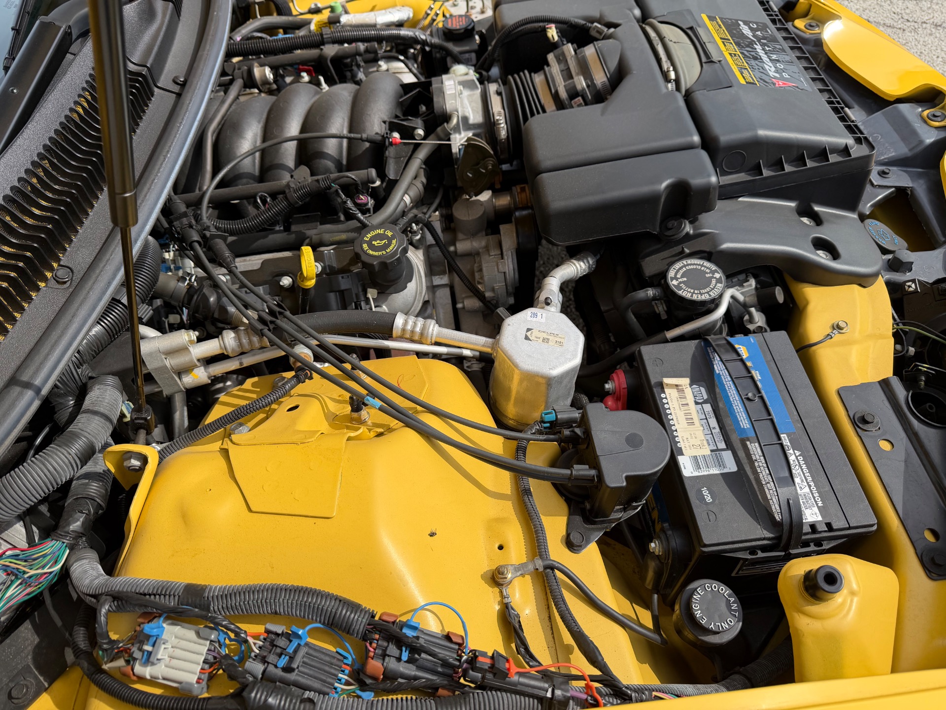 Used 2002 Pontiac Firebird Collector Edition Only-4k Miles-Convertible-SEE VIDEO | Mundelein, IL