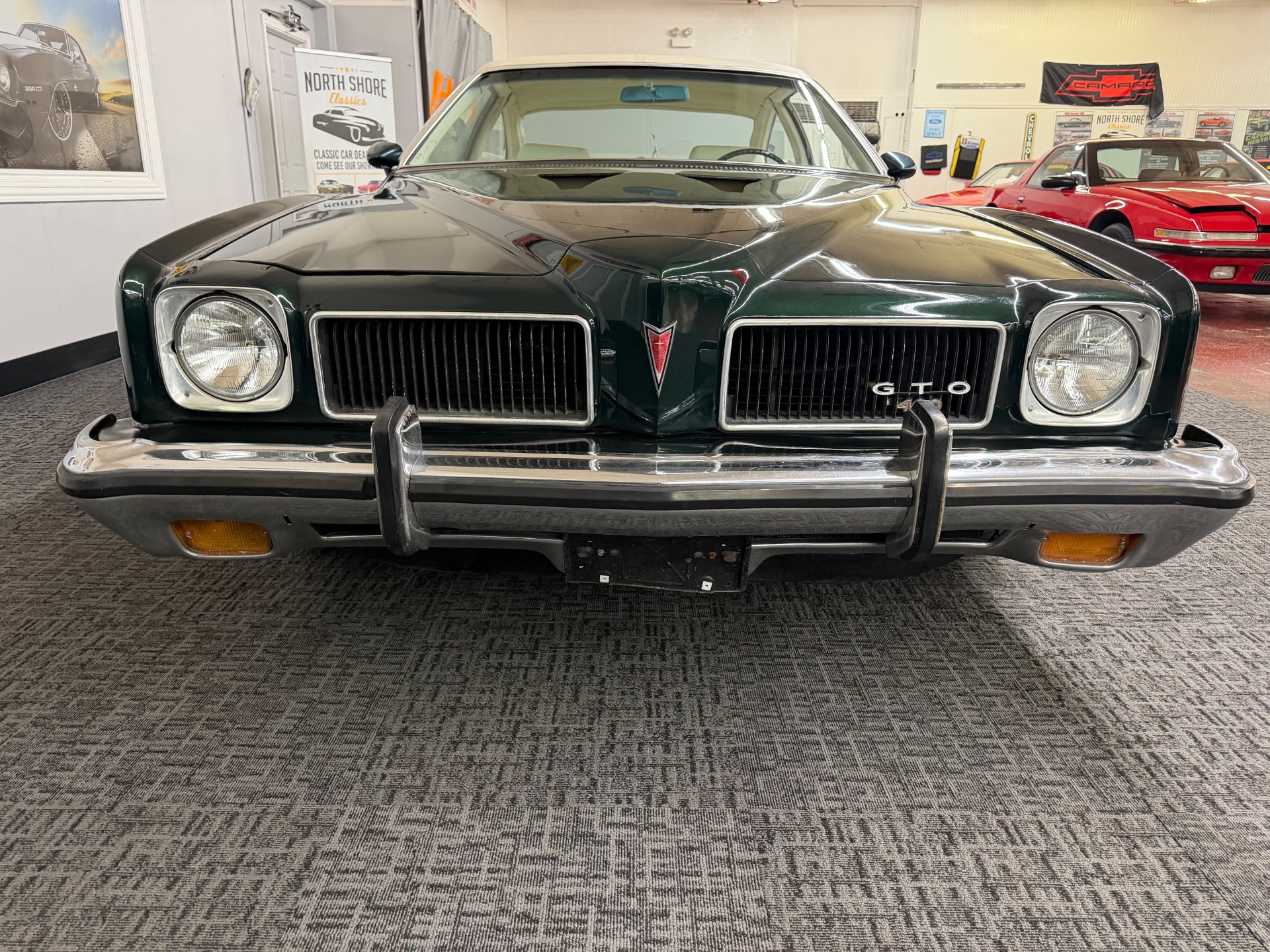 1973 Pontiac LeMans 11