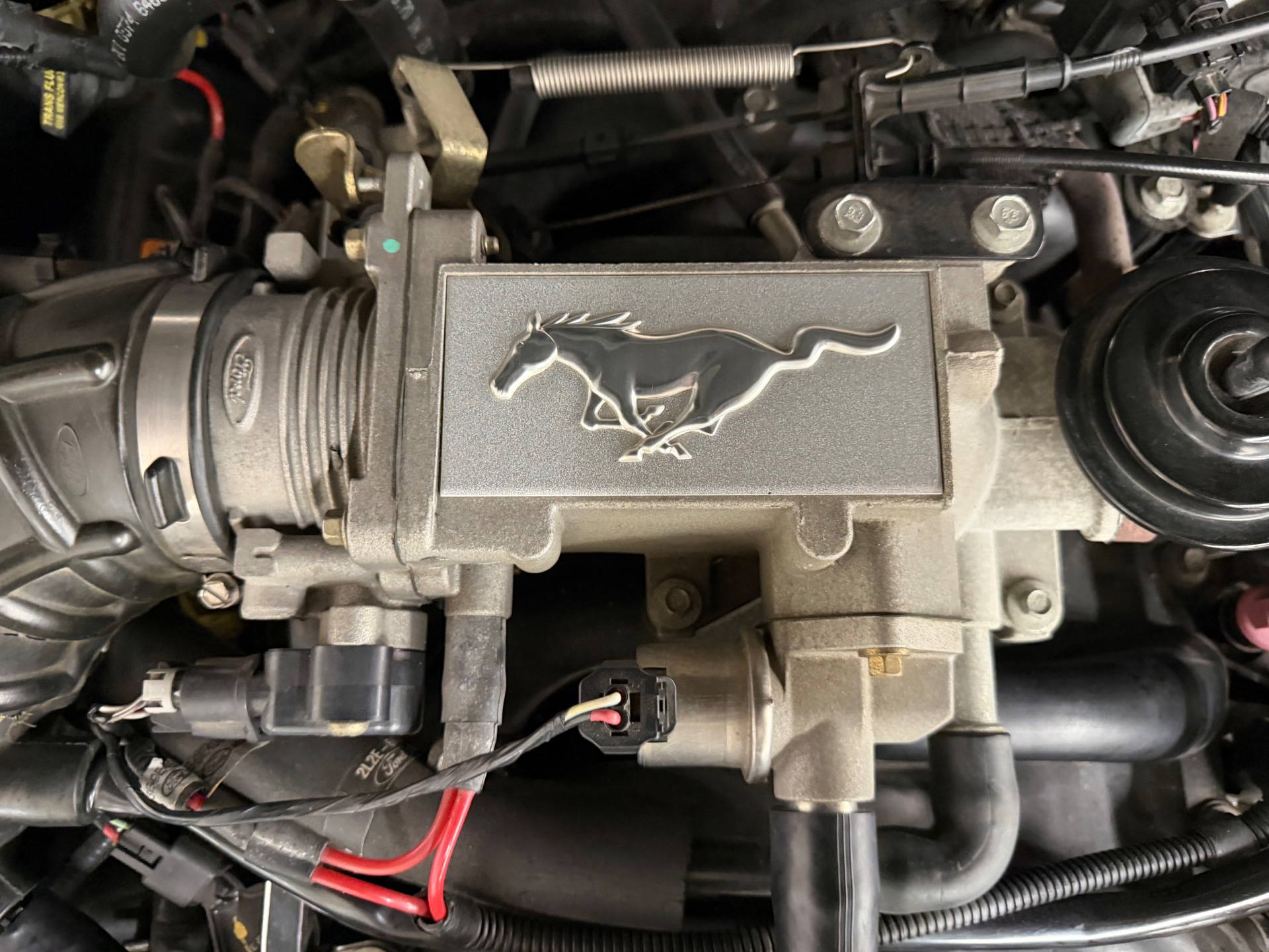 2004 Ford Mustang 55
