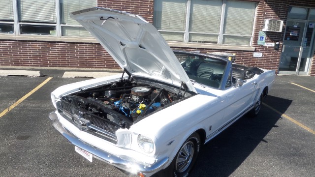 Used 1964 Ford Mustang 1964 1/2 -Convertible-SEE VIDEO | Mundelein, IL