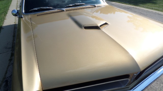 Used 1965 Pontiac GTO 389 Tri Power 4 Speed-PROTECT-O-PLATE-SEE VIDEO | Mundelein, IL