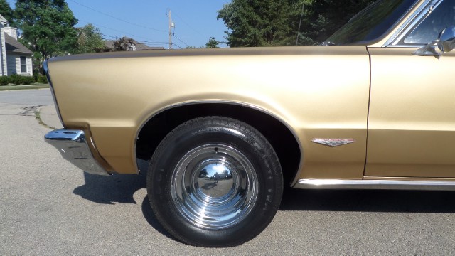 Used 1965 Pontiac GTO 389 Tri Power 4 Speed-PROTECT-O-PLATE-SEE VIDEO | Mundelein, IL