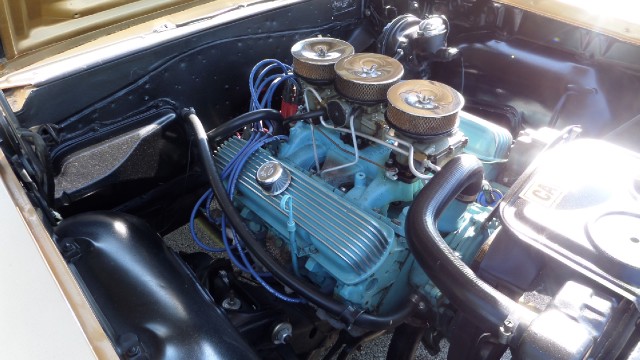 Used 1965 Pontiac GTO 389 Tri Power 4 Speed-PROTECT-O-PLATE-SEE VIDEO | Mundelein, IL