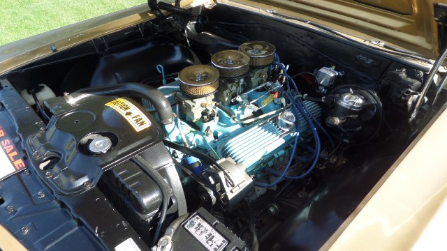 Used 1965 Pontiac GTO 389 Tri Power 4 Speed-PROTECT-O-PLATE-SEE VIDEO | Mundelein, IL
