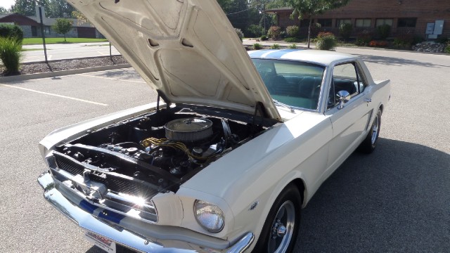 Used 1965 Ford Mustang 289 WITH STICK SHIFT-SHELBY LOOK-SEE VIDEO | Mundelein, IL