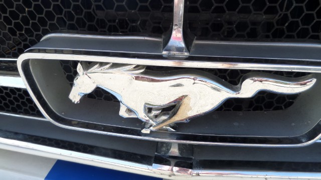 Used 1965 Ford Mustang 289 WITH STICK SHIFT-SHELBY LOOK-SEE VIDEO | Mundelein, IL