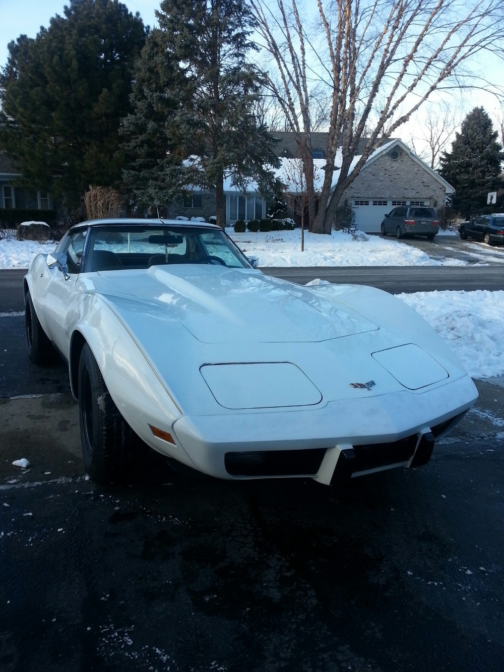 Used 1977 Chevrolet Corvette Driver Quality Low Mileage Vette | Mundelein, IL