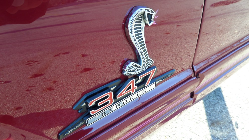 Used 1982 Ford Mustang GT-PRO STREET-MINT SHOW PIECE-SEE VIDEO | Mundelein, IL
