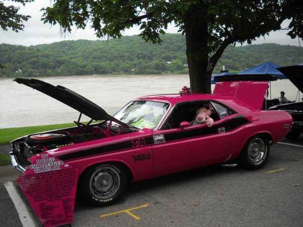 Used 1970 Dodge Challenger T/A RESTORED PINK PANTHER 6 PACK MOPAR TRANS AM-NOT A CLONE | Mundelein, IL