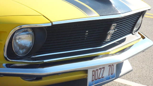 Used 1970 Ford Mustang BOSS 302 Tribute | Mundelein, IL