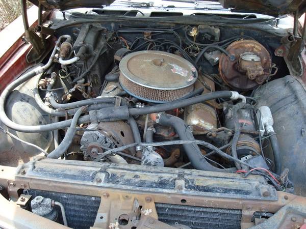 Used 1970 Chevrolet Chevelle SS396-2 BUILD SHEETS DOCUMENTED-WE CAN RESTORE FOR YOU | Mundelein, IL