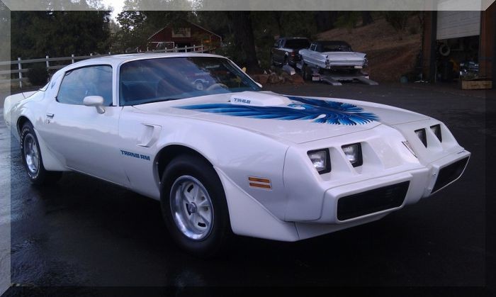 Used 1979 Pontiac Trans Am 2 Owner-California Rust free Bird | Mundelein, IL