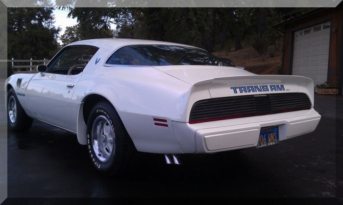 Used 1979 Pontiac Trans Am 2 Owner-California Rust free Bird | Mundelein, IL