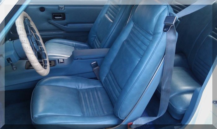 Used 1979 Pontiac Trans Am 2 Owner-California Rust free Bird | Mundelein, IL