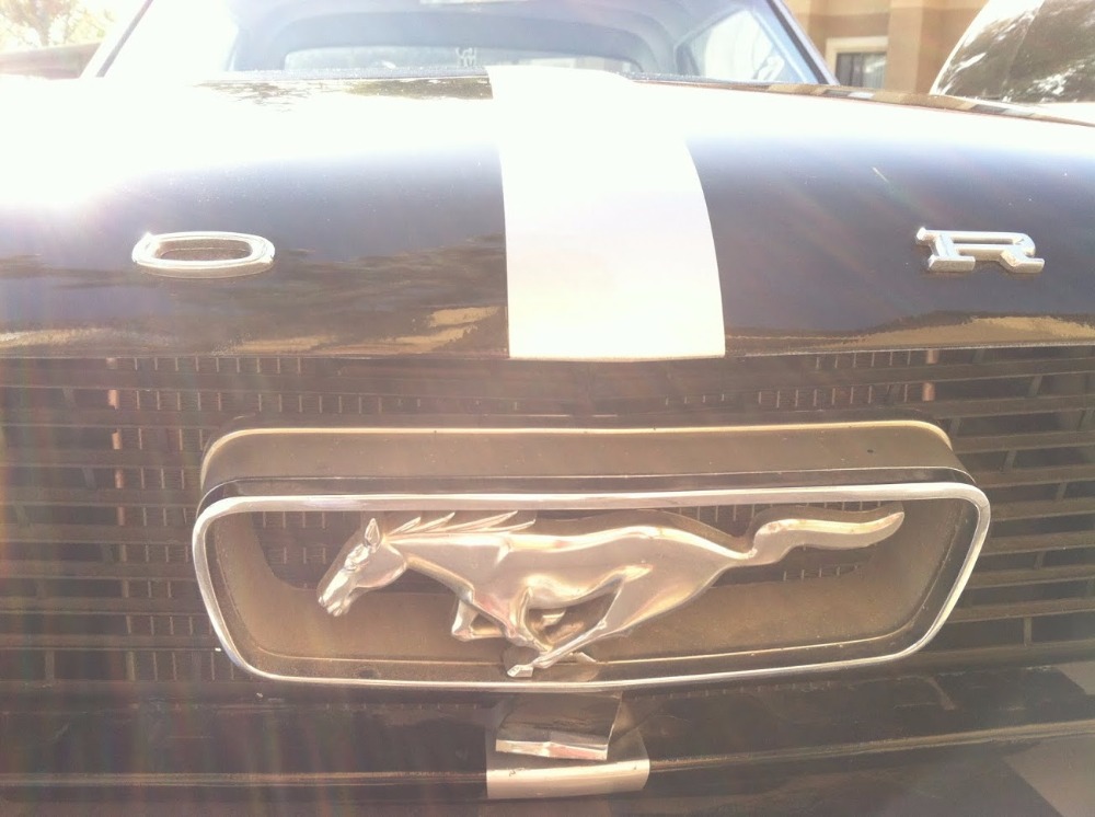 Used 1966 Ford Mustang NICE DRIVER | Mundelein, IL