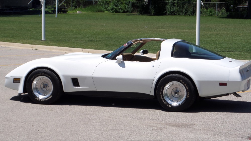 Used 1981 Chevrolet Corvette NEW PAINT-GREAT RELIABLE DRIVER-SEE VIDEO | Mundelein, IL