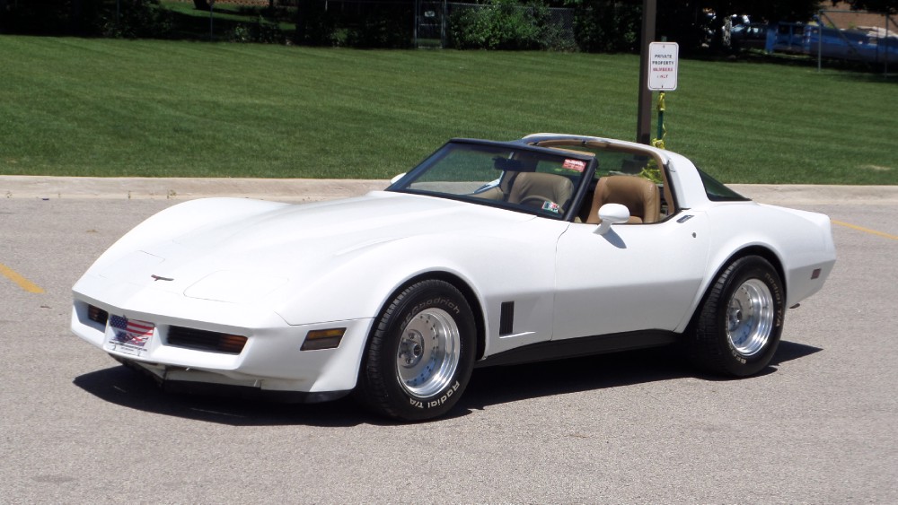 Used 1981 Chevrolet Corvette NEW PAINT-GREAT RELIABLE DRIVER-SEE VIDEO | Mundelein, IL