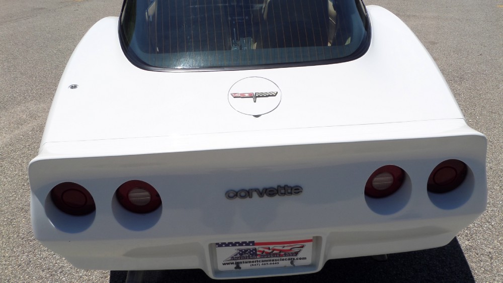Used 1981 Chevrolet Corvette NEW PAINT-GREAT RELIABLE DRIVER-SEE VIDEO | Mundelein, IL