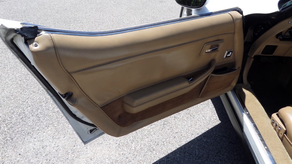 Used 1981 Chevrolet Corvette NEW PAINT-GREAT RELIABLE DRIVER-SEE VIDEO | Mundelein, IL