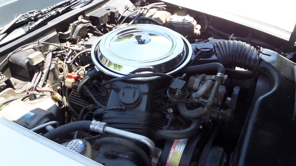 Used 1981 Chevrolet Corvette NEW PAINT-GREAT RELIABLE DRIVER-SEE VIDEO | Mundelein, IL