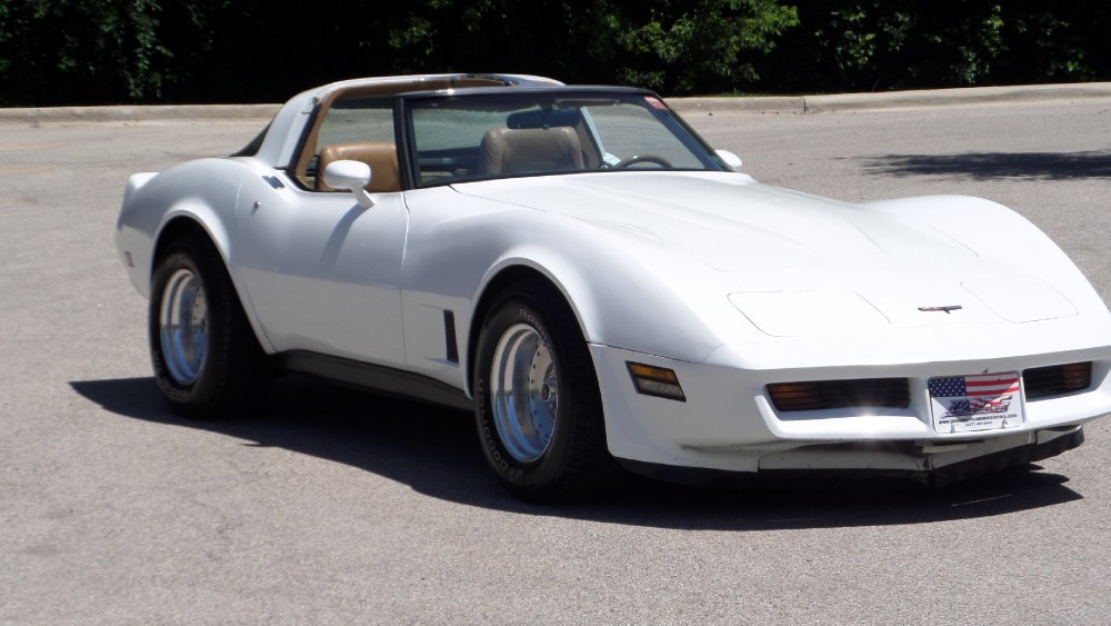 Used 1981 Chevrolet Corvette NEW PAINT-GREAT RELIABLE DRIVER-SEE VIDEO | Mundelein, IL