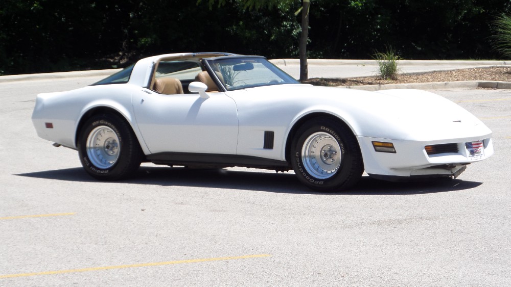 Used 1981 Chevrolet Corvette NEW PAINT-GREAT RELIABLE DRIVER-SEE VIDEO | Mundelein, IL