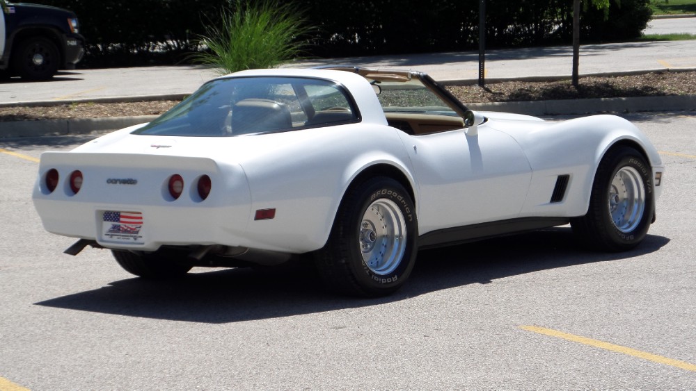 Used 1981 Chevrolet Corvette NEW PAINT-GREAT RELIABLE DRIVER-SEE VIDEO | Mundelein, IL