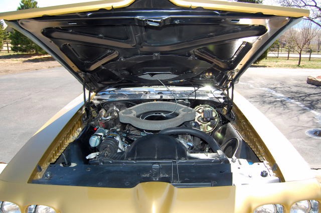 Used 1970 Pontiac GTO REAL JUDGE-FRAME UP RESTORATION | Mundelein, IL