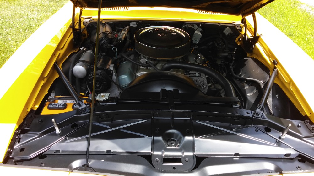 Used 1969 Pontiac Firebird TRANS AM-RESTORED RAM AIR | Mundelein, IL