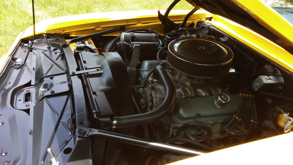 Used 1969 Pontiac Firebird TRANS AM-RESTORED RAM AIR | Mundelein, IL