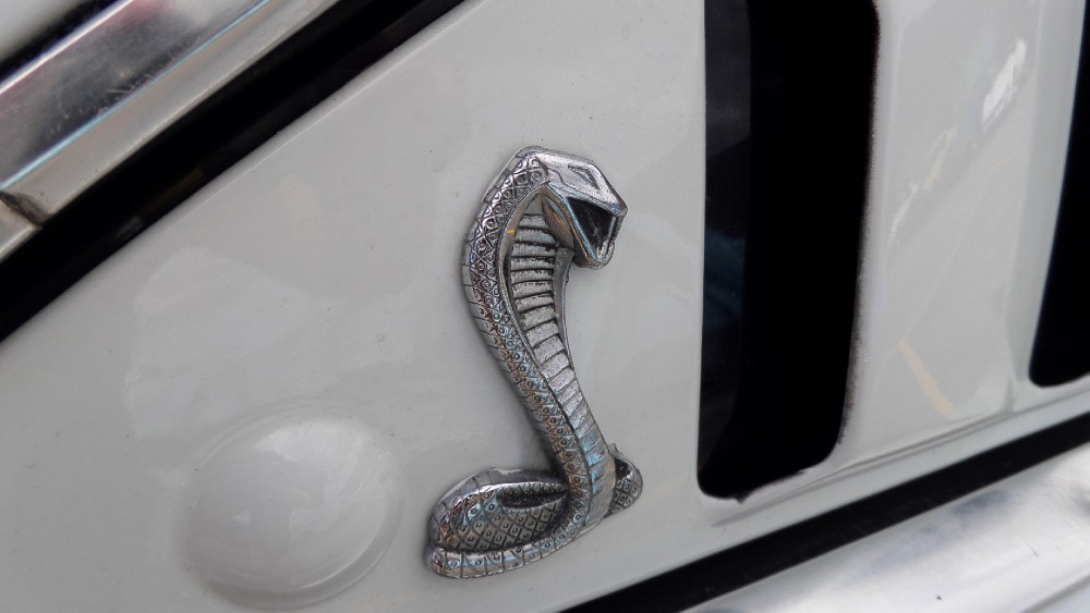 Used 1978 Ford Mustang COBRA II-FROM TENNESSEE-CHARLIES ANGELS THEME CAR-SEE VIDEO | Mundelein, IL