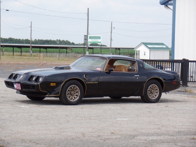Used 1979 Pontiac Trans Am SE CODE Y84-REAL BLACK/GOLD-FROM