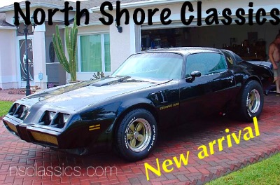 Black bird s-l400.jpg